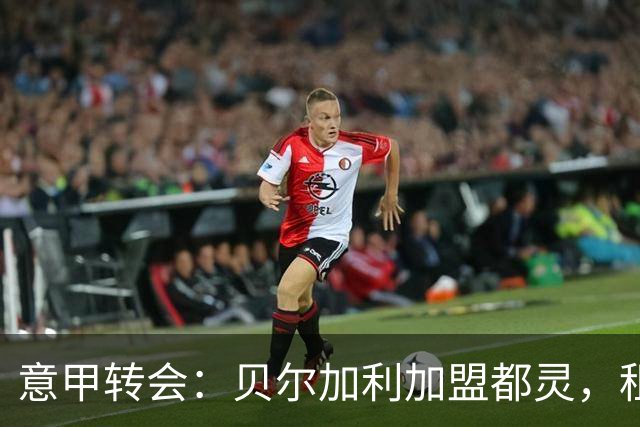 意甲转会：贝尔加利加盟都灵，租借加强买断条款